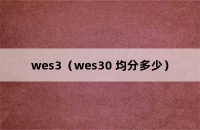 wes3（wes30 均分多少）